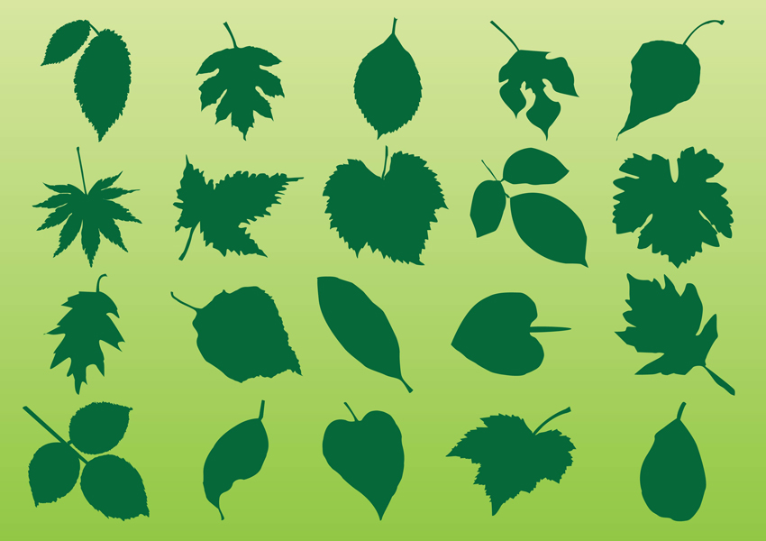 Plant Leaves Vectors