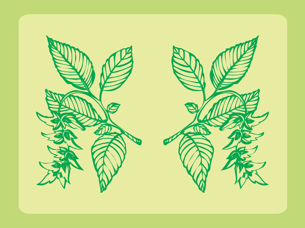 Fresh Plants Ornaments