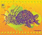 Turtle Vector Art