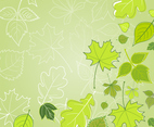 Green Leaves Vector Wallpaper