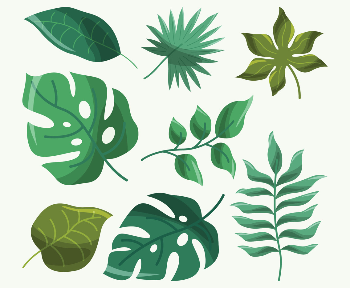 Summer Foliages Nature Element Collection