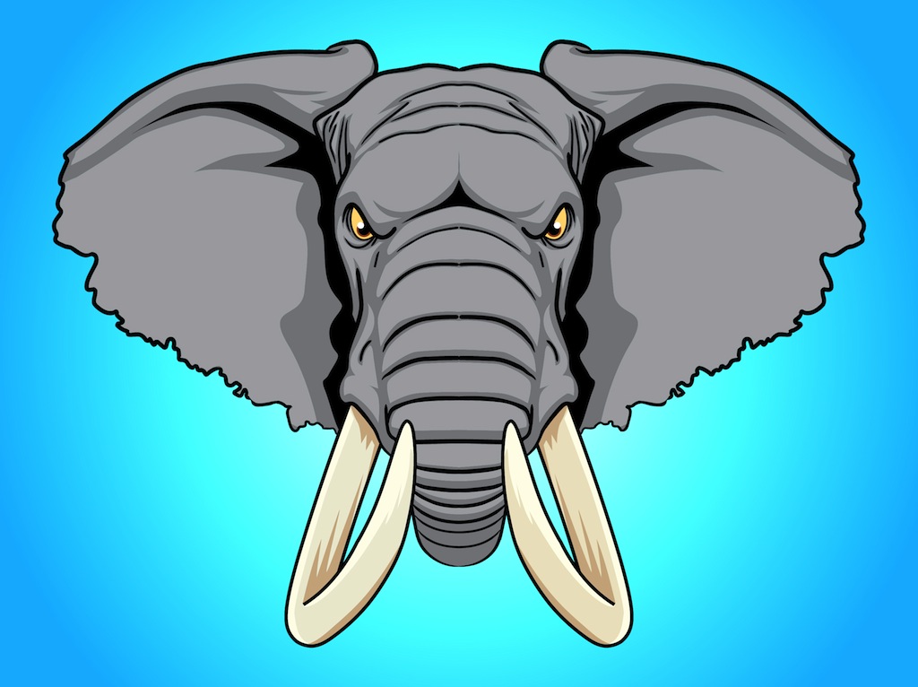 Elephant Head Vector Art & Graphics 