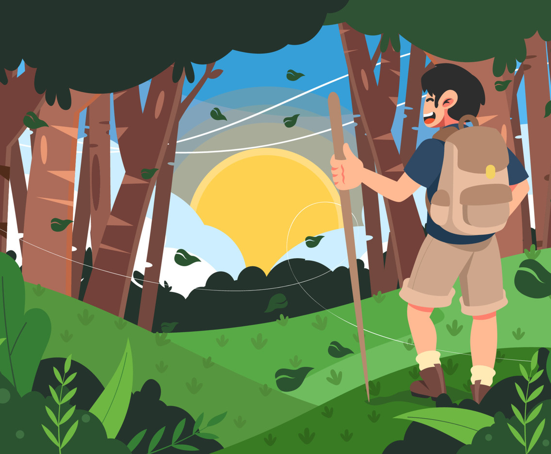 Summer Hiking in The Forest