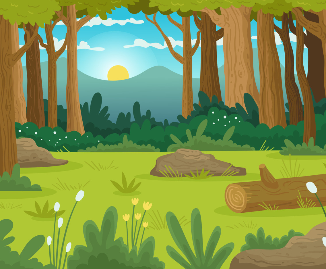 Sunrise Summer on Forest Background