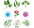 Individual Floral Element