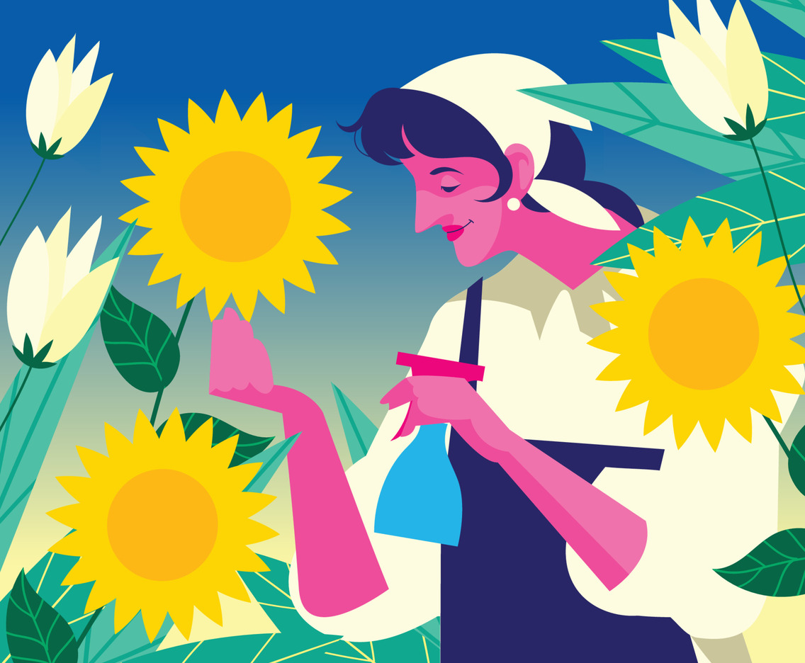 A Young Florist Caring Her Sunflower