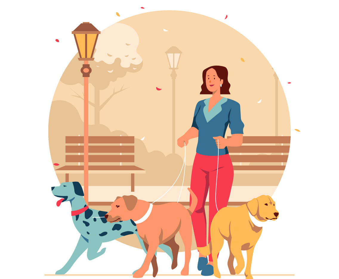 Dog Walker With Various Dogs