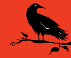Crow On Tree