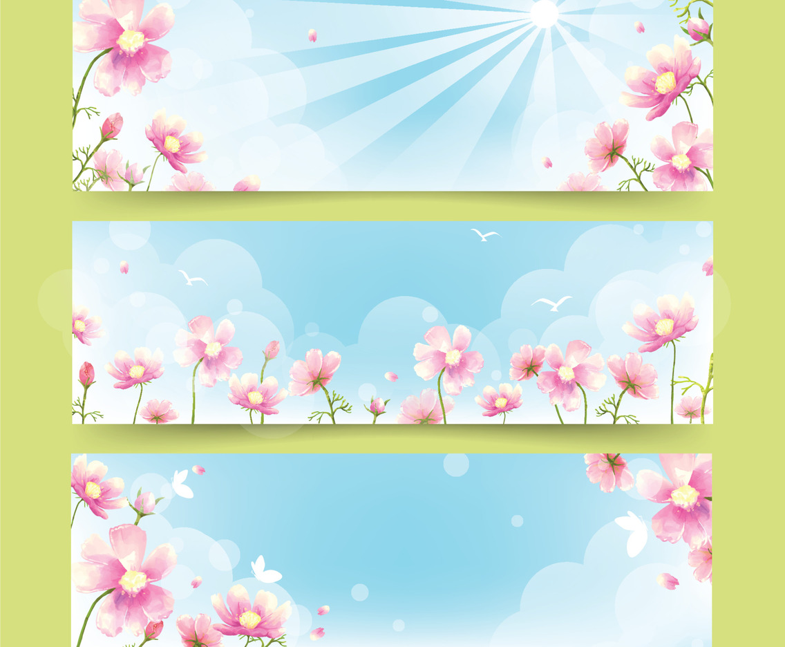 Watercolor Summer Cosmos Flower Banner Set
