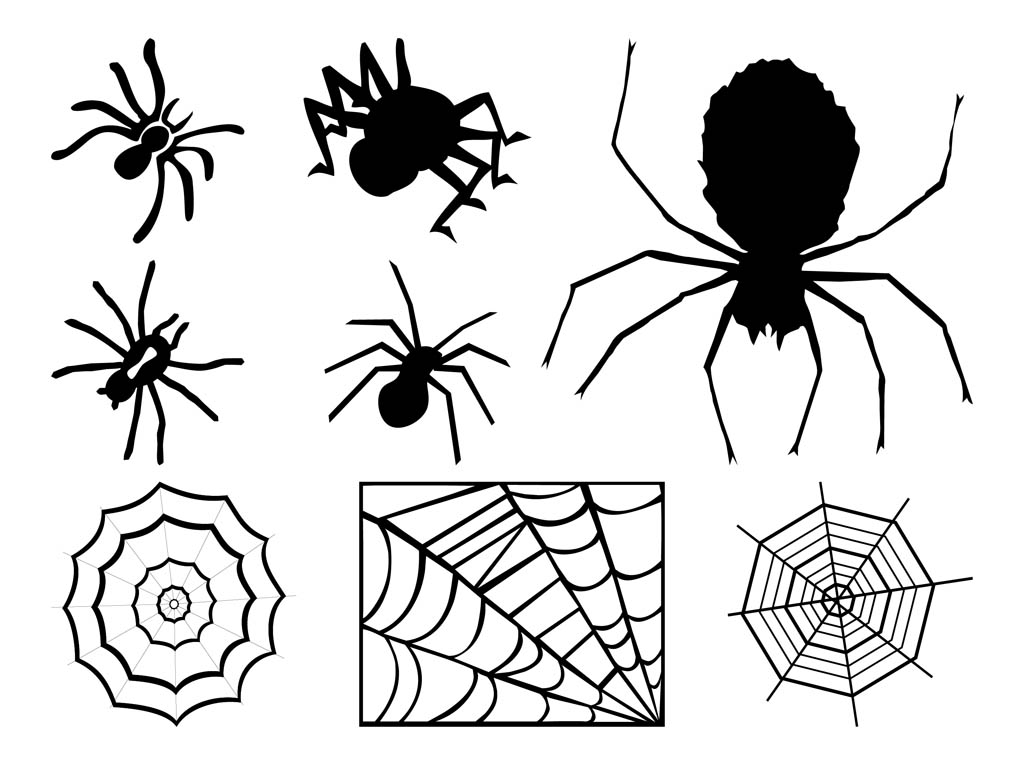 Spiders And Webs Graphics