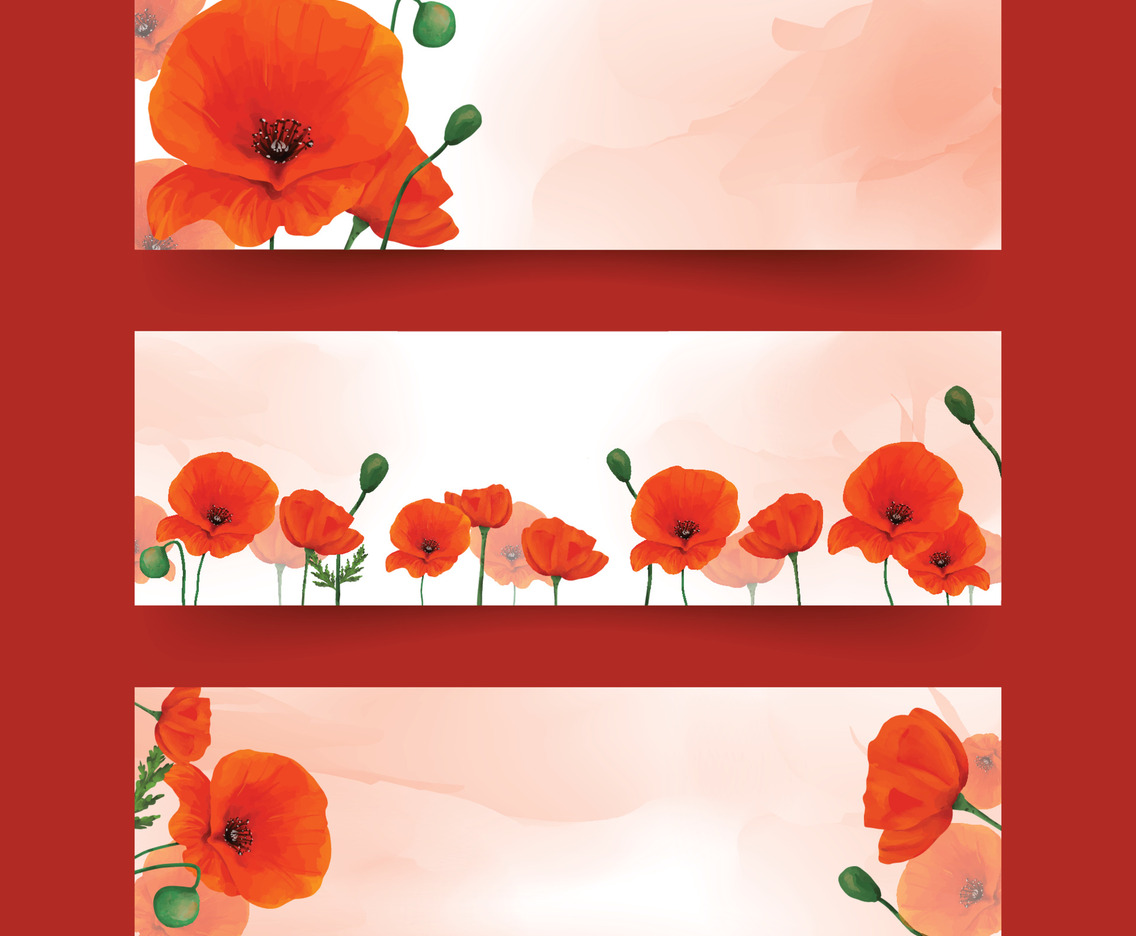 Banner Set of Poppy Flower in Summer Floral Theme
