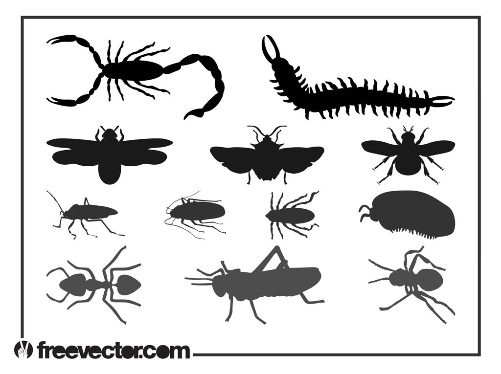 Insect Silhouettes Graphics Set