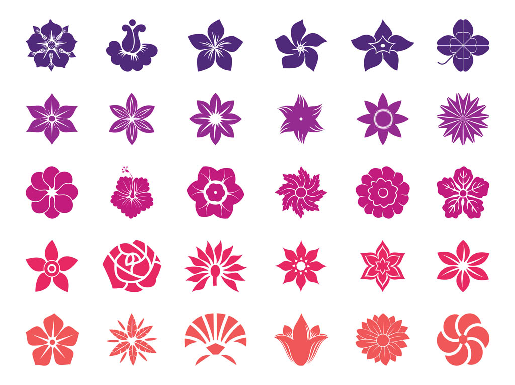 Flower Blossoms Graphics