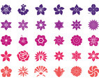 Flower Blossoms Graphics