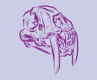 Animal Skull Vector