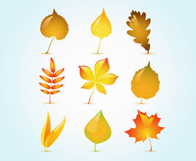 Free Vector Trees Vector Art & Graphics | freevector.com