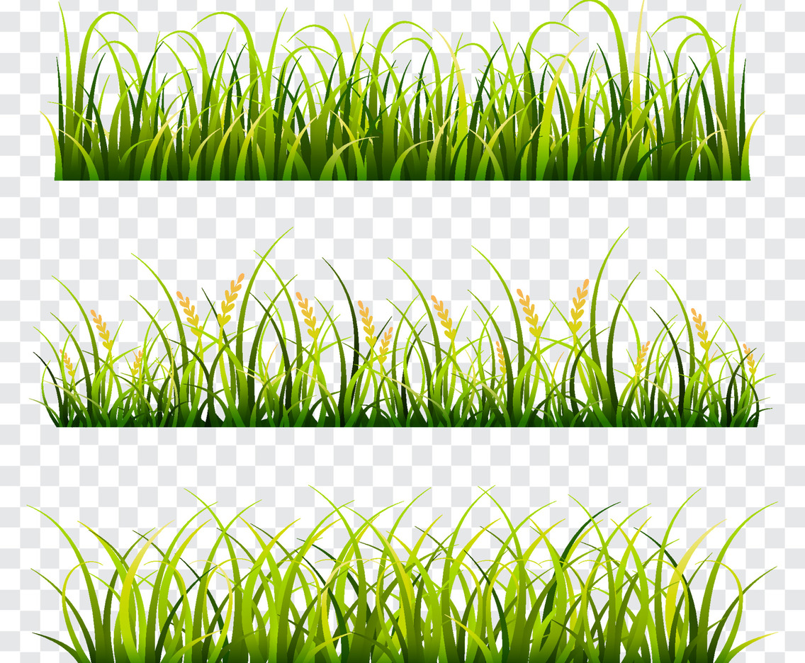 Set of Green Grass