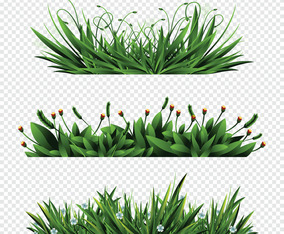 Grass Vector Art & Graphics | freevector.com