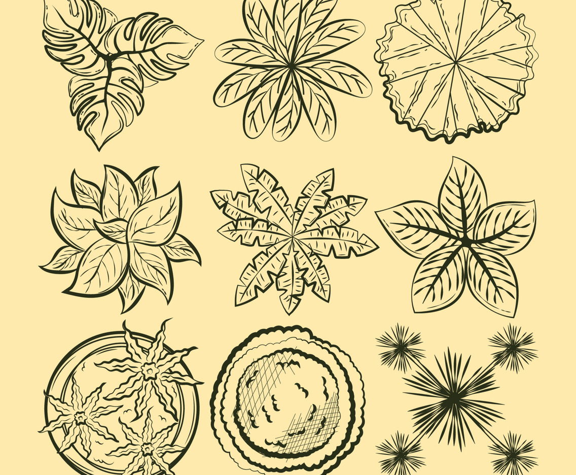 Sketch Plant for Element Architecture