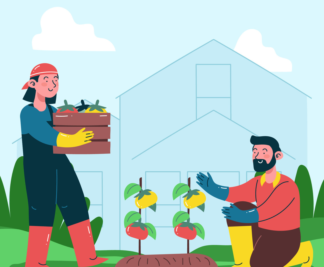 Harvesting Organic Food Background
