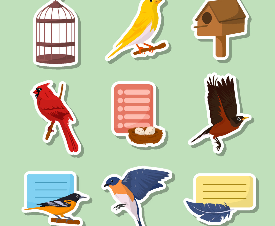 Set of Bird Template Sticker