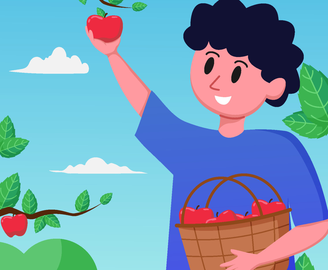 Apple Picking on Fall Activity