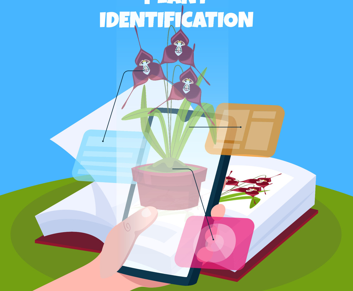 Augmented Reality Plant Identitfication Concept