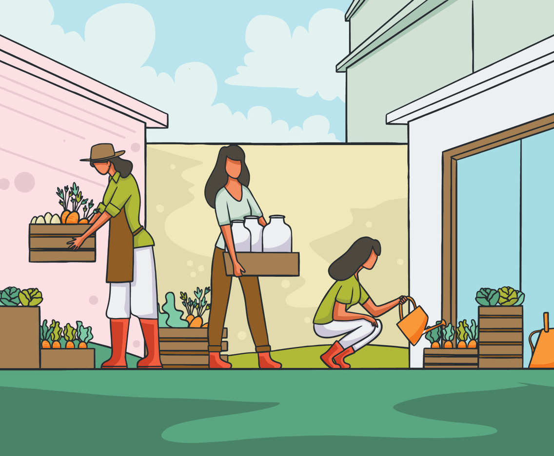 Harvesting Food from Home Garden