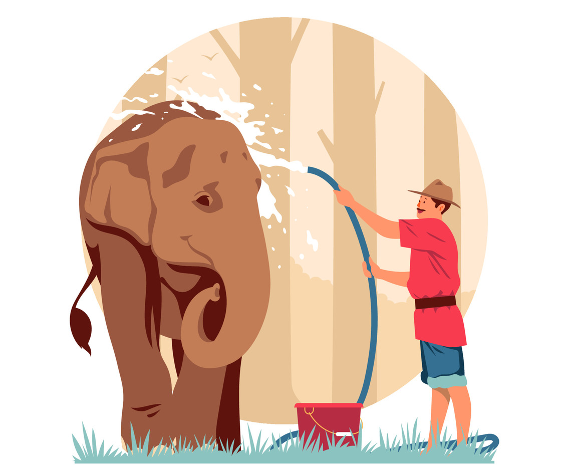 Mahout Bathing an Elephant