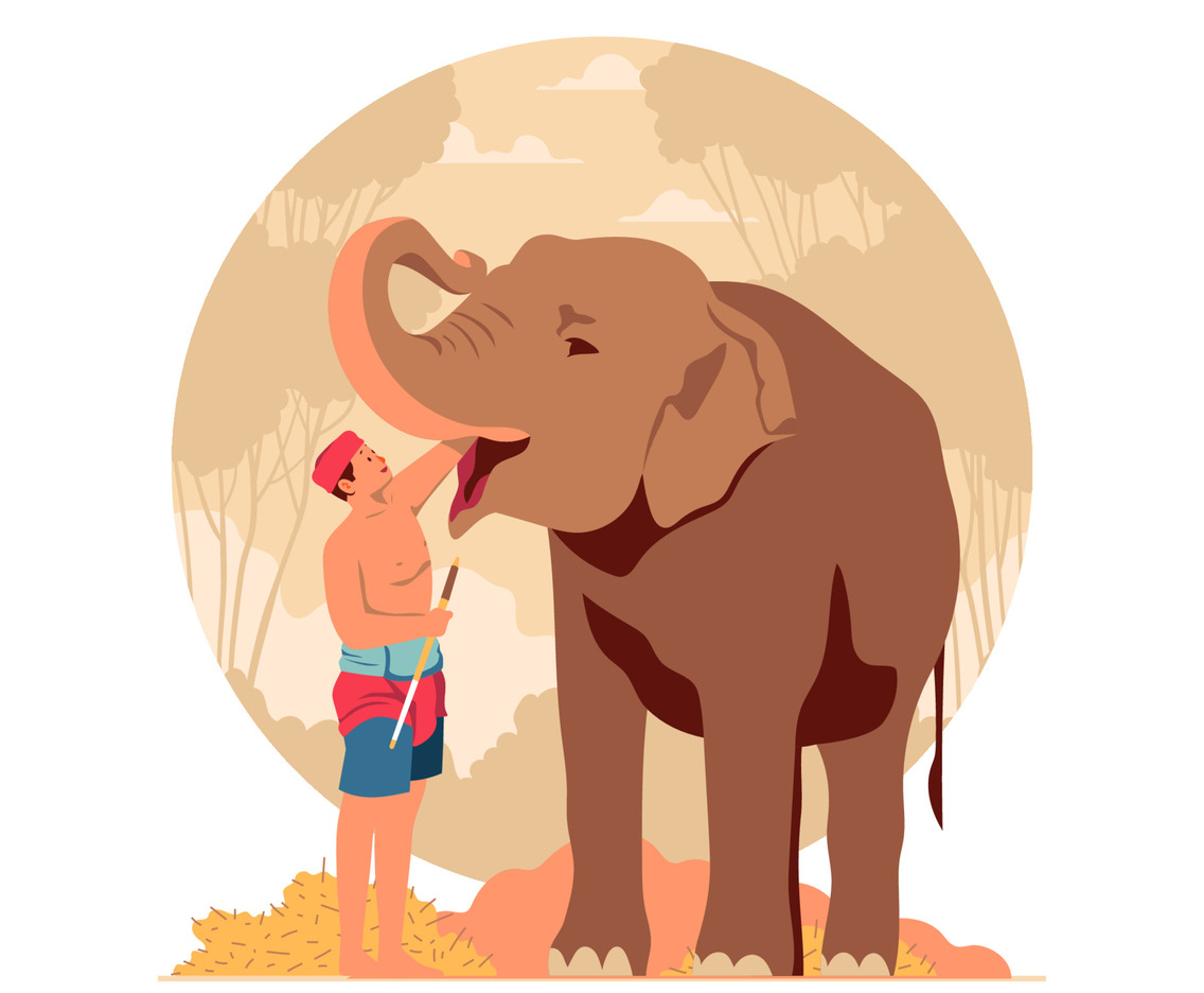 Mahout Feeding Elephant Concept