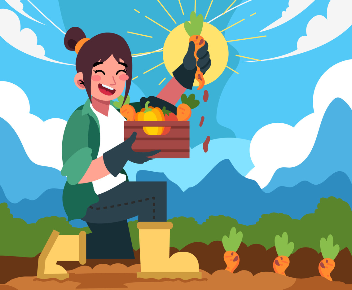 Harvesting Carrots in The Garden