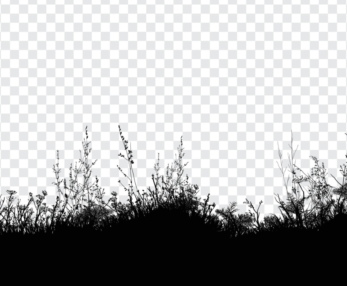Grassland Meadow Silhouette Banner Background