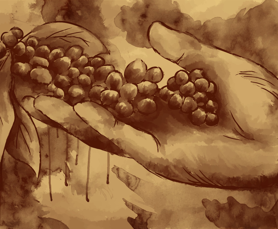 Aesthetic Coffee Stains Hand Holding Coffee Beans