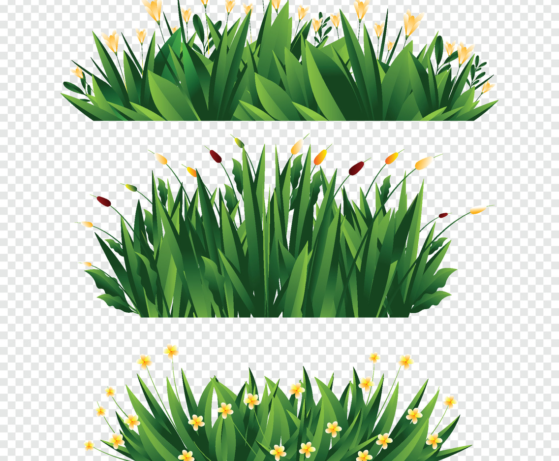 Green Natural Grass Element