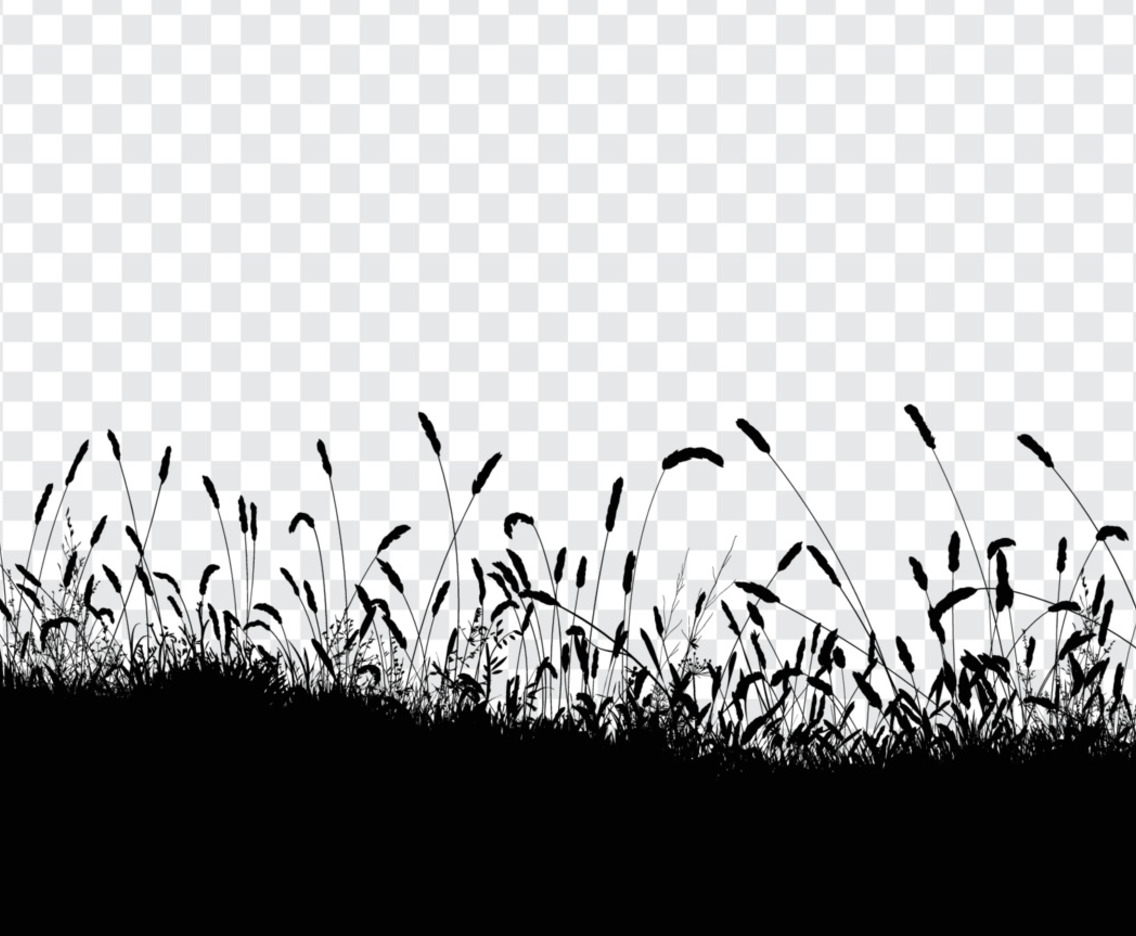Grass in The Meadow Silhouette Background