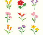 Set of Summer Flower Icons