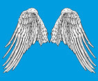 Angel Wings Graphics