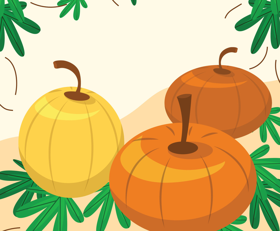 Pumpkin Hunt Background