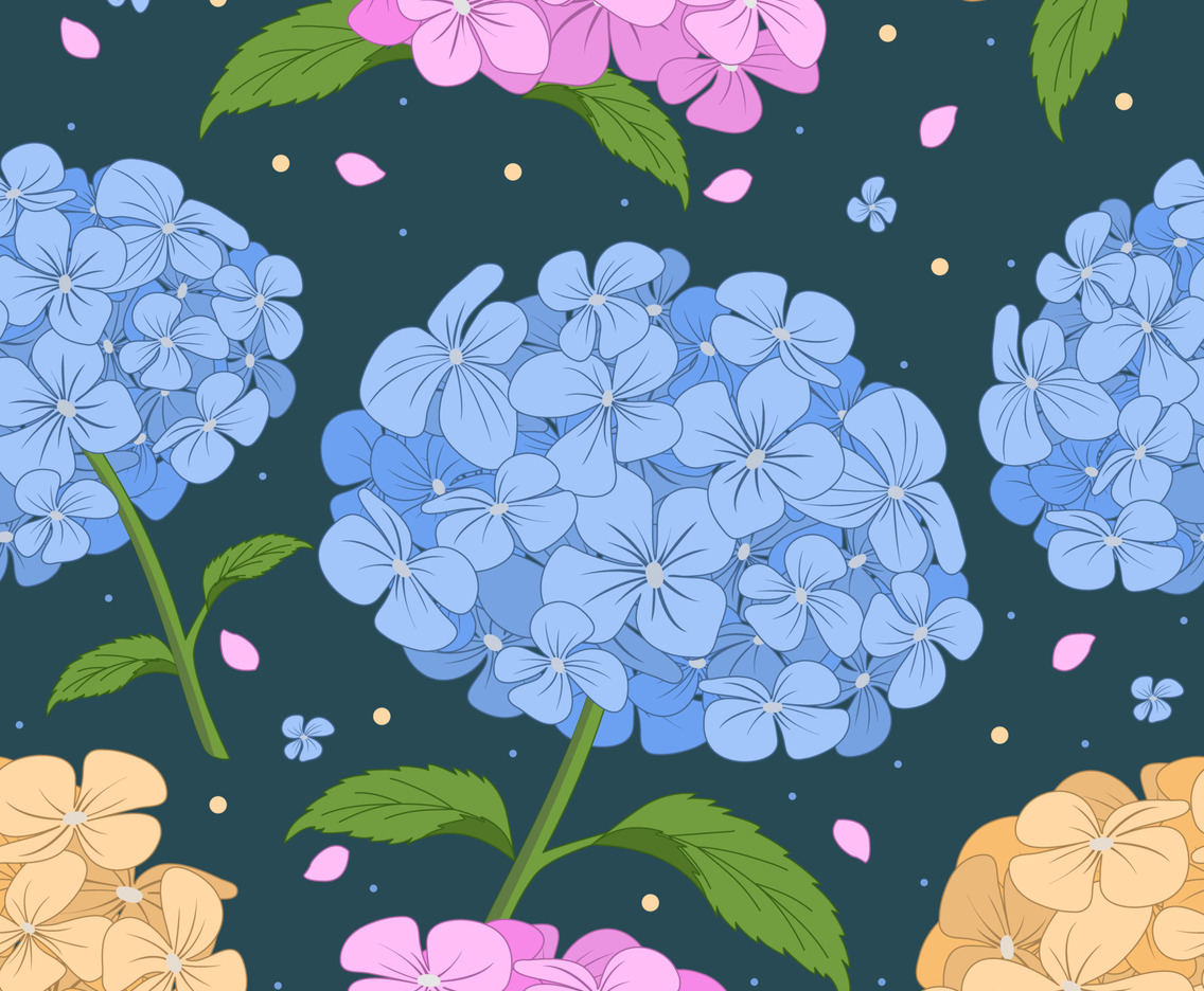Hydrangeas Colorful Flower