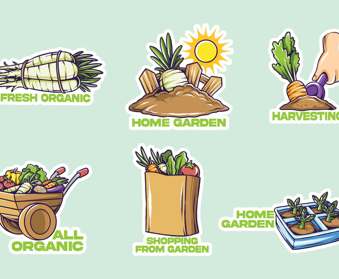 Organic Food Shopping or Harvesting Food from Home Garden