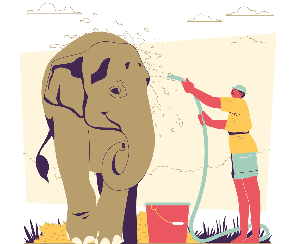 Mahout Bathing an Elephant