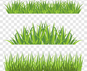 Grass Vector Art & Graphics | freevector.com
