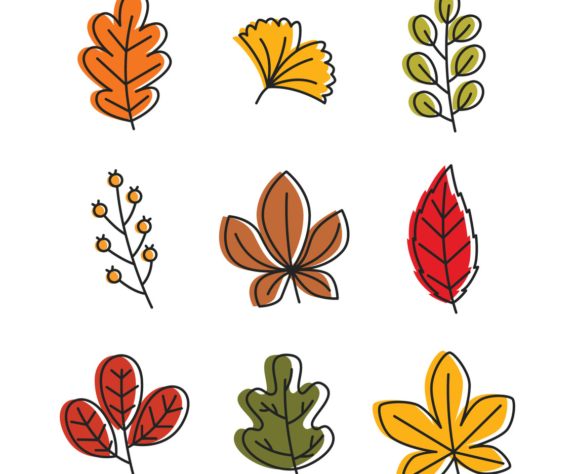 Autumn Fallen Leaves Collection