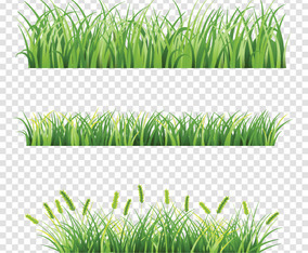 Grass Vector Art & Graphics | freevector.com