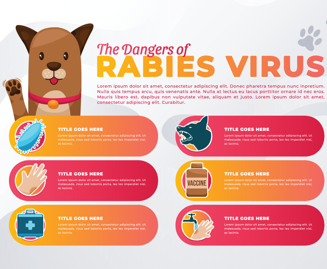 World Rabies Day Infographic
