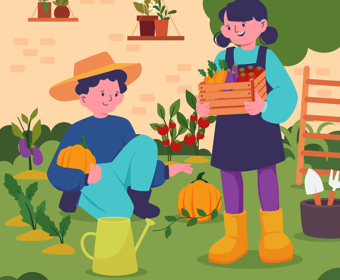 Harvesting Food at Home Garden