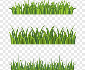 Grass Vector Art & Graphics | freevector.com