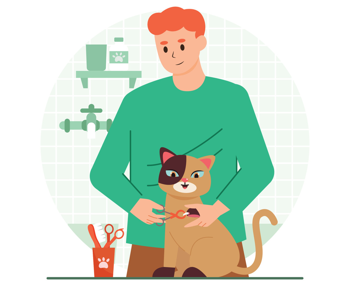 Professional Pet Groomer