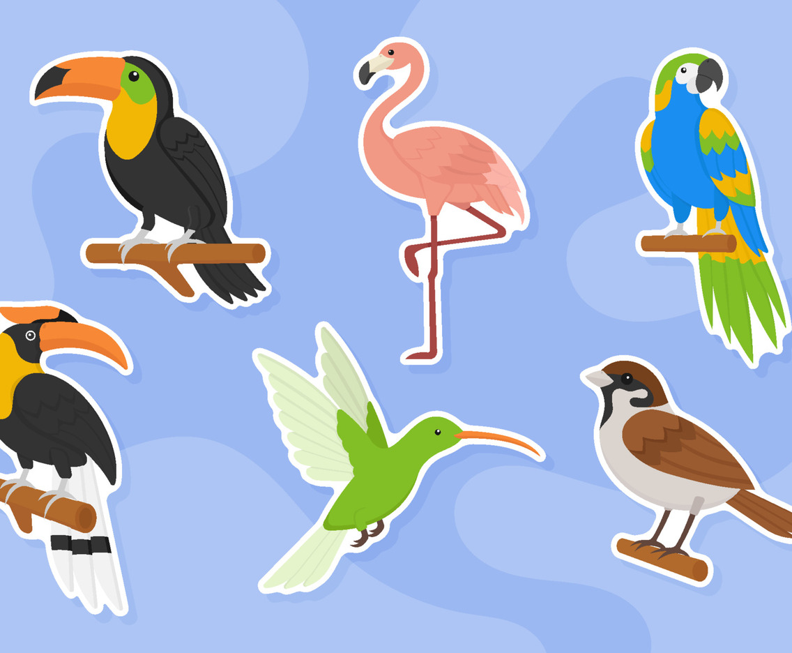 Birds Journal Template Sticker Set