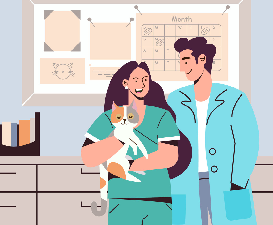 Vet Holding Cat To Be Examined Concept